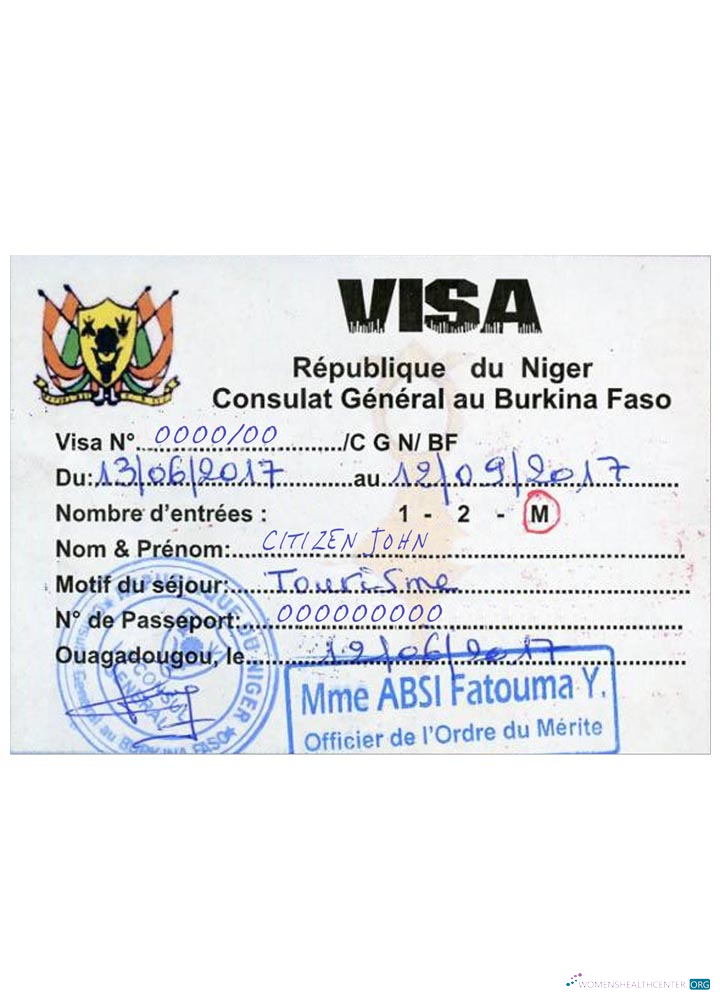 Download NIGER travel visa Photoshop template